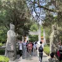 評論圖片 1