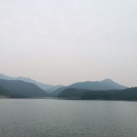 評論圖片 7