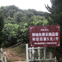 評論圖片 7