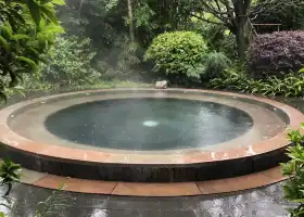 黃果樹柏聯酒店溫泉