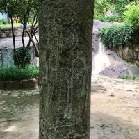 評論圖片 7