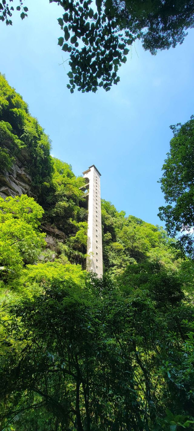 Bifengxia Giant Panda Base