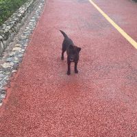 評論圖片 5