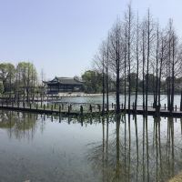評論圖片 3
