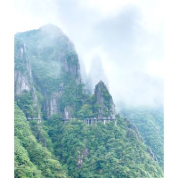 評論圖片 1