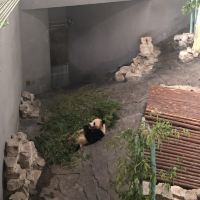 評論圖片 3