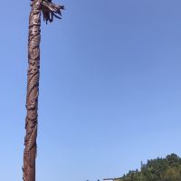 評論圖片 4
