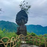 評論圖片 6
