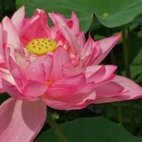 評論圖片 2