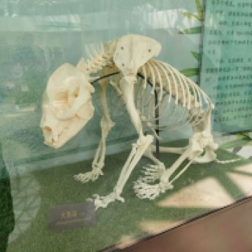 評論圖片 3