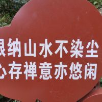 評論圖片 1