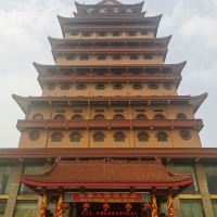 評論圖片 1