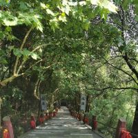 評論圖片 1