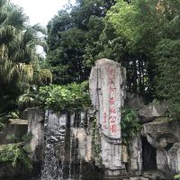 評論圖片 6