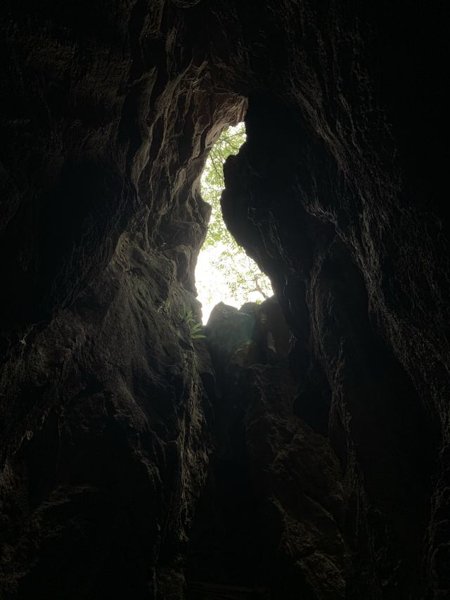 Jade Forest Scenic Area