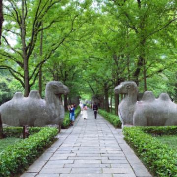 評論圖片 4