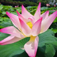 評論圖片 7