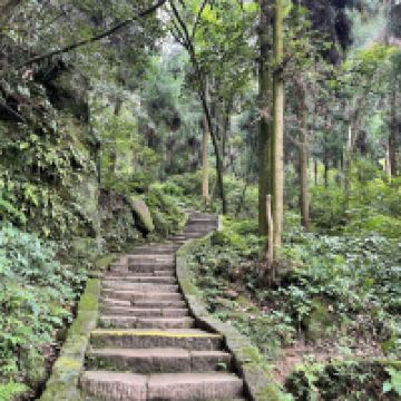 評論圖片 7