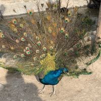 評論圖片 7