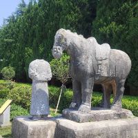 評論圖片 3