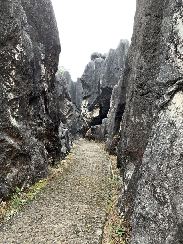 Jade Forest Scenic Area