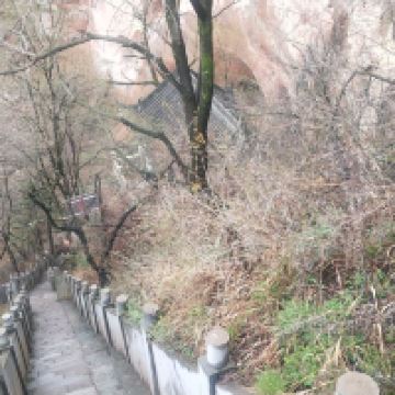 評論圖片 4