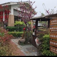 評論圖片 4