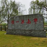 評論圖片 3