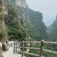 評論圖片 4