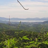 評論圖片 1