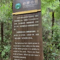 評論圖片 9