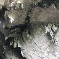 評論圖片 3