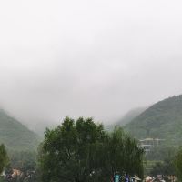 評論圖片 7