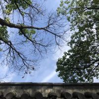 評論圖片 5
