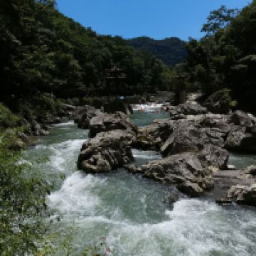 評論圖片 3