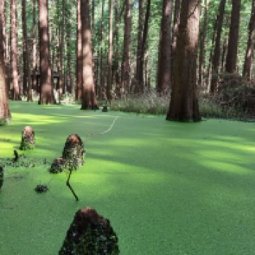 評論圖片 6
