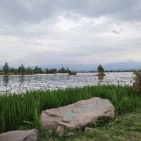 評論圖片 5