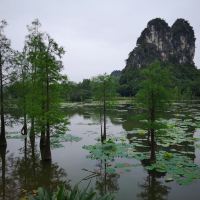 評論圖片 3