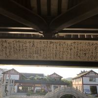 評論圖片 8