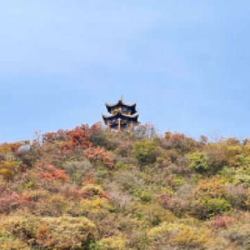 評論圖片 7