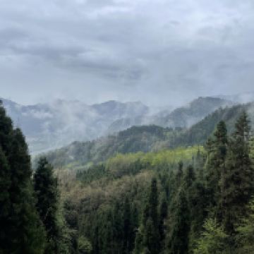 評論圖片 3