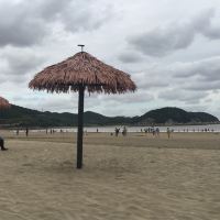 評論圖片 7