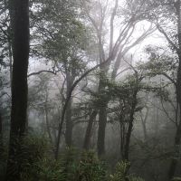 評論圖片 1