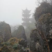 評論圖片 4
