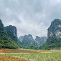 評論圖片 1