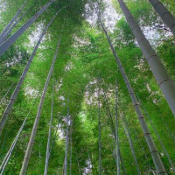評論圖片 5