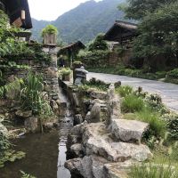 評論圖片 5