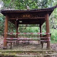 評論圖片 4