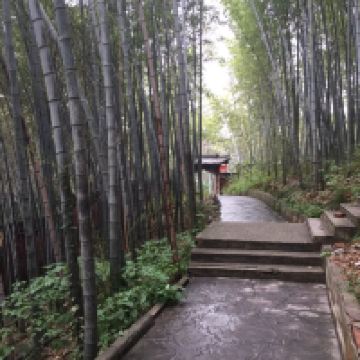 評論圖片 2