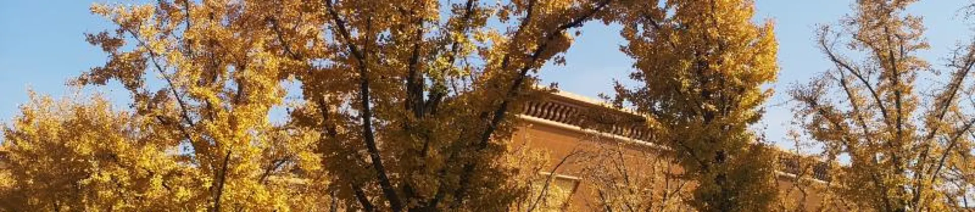 Fall Viewing Attractions